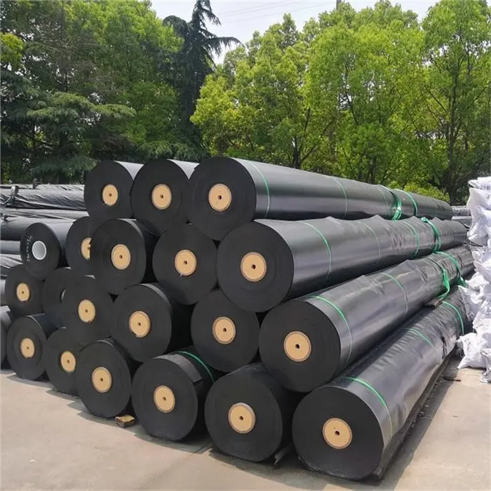 Geomembrane